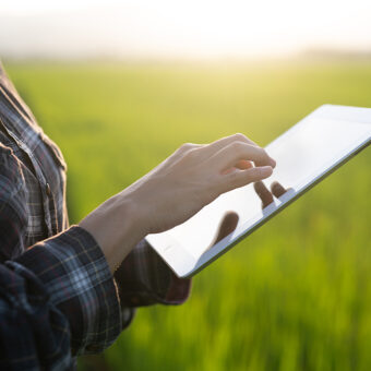 Crop Management Software for Sustainable Farming