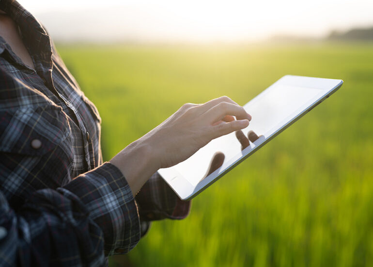 Crop Management Software for Sustainable Farming