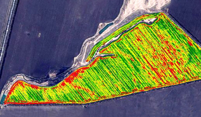 How Does Precision Mapping Empower Agribusinesses to Flourish?