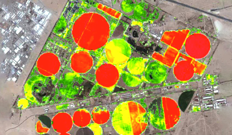 How Does Precision Mapping Empower Agribusinesses to Flourish?