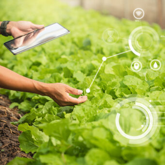 Unified Farm Management System to Boost Production and Profitability