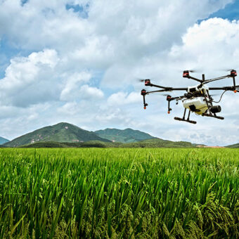 Collecting and Analyzing Drone Imagery for Crop Monitoring