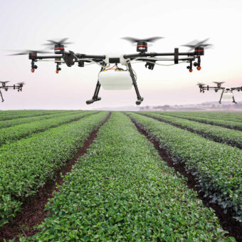 How to Interpret Agricultural Drone Data for Crop Management Decisions