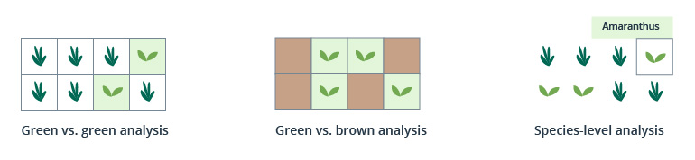 Intelligent Spraying in Agriculture for Precise Herbicide Application