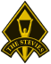 The Stevie png