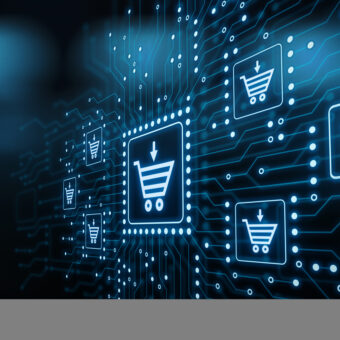 IT Auditing & Consulting for a Top Online Retailer