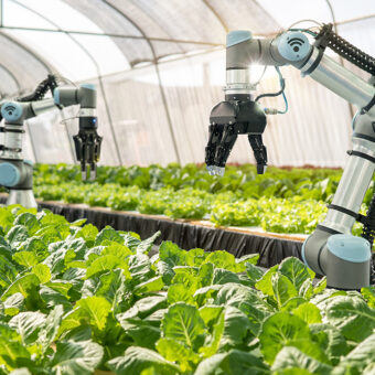 Automated Greenhouse System with Profound Analytics