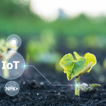 IoT in Agriculture: Connected Farming Is the Smarter Way to Sustainability
