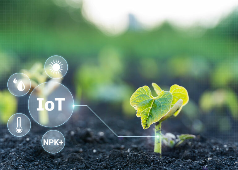 IoT in Agriculture: Connected Farming Is the Smarter Way to Sustainability