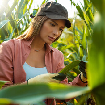 Combatting Invasive Pests with Next-Gen Insect Control Technology