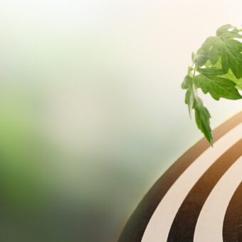 Precision Farming: Applying Software to Soils, Sustainably
