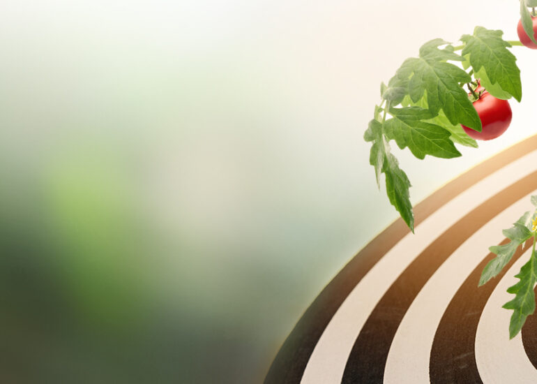 Precision Farming: Applying Software to Soils, Sustainably