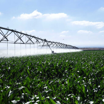 Smart Irrigation in Agriculture: How IoT Takes AgTech to the Next Level