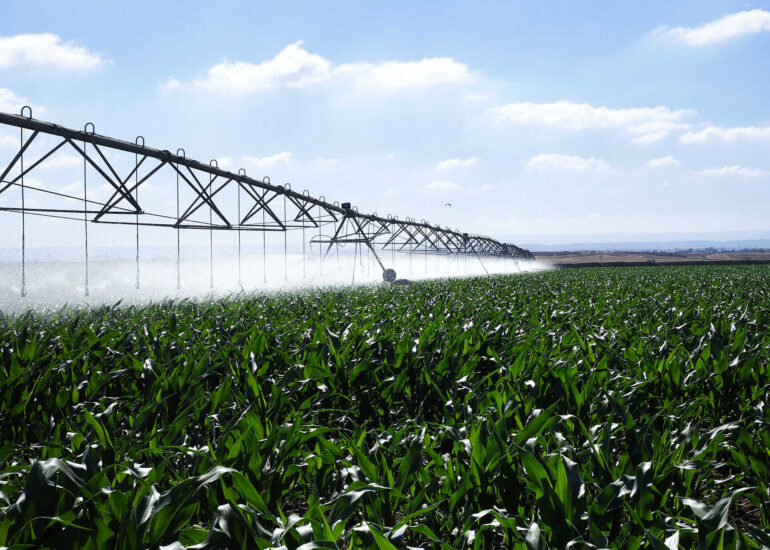 Smart Irrigation in Agriculture: How IoT Takes AgTech to the Next Level