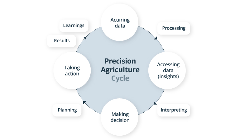 Precision Agriculture Cycle