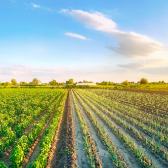 8 Applications of GIS in Agriculture for Predictability & Sustainable Growth