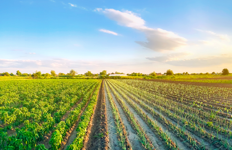 8 Applications of GIS in Agriculture for Predictability & Sustainable Growth