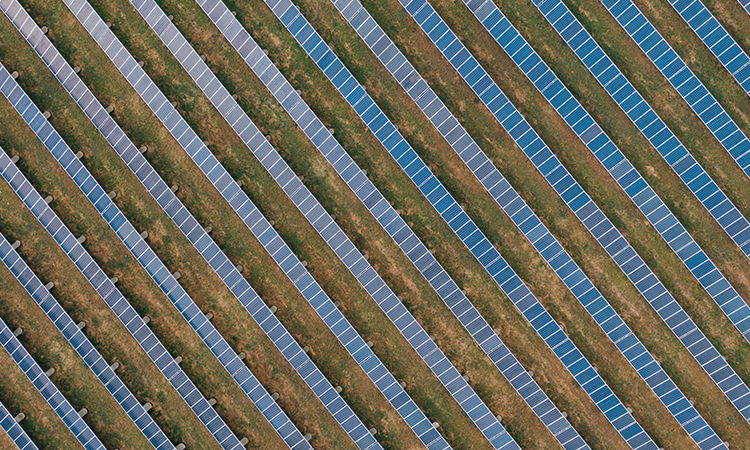 The Future of AgriTech: Trends and Innovations in Agriculture to Watch in 2023