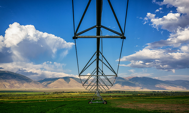 The Future of AgriTech: Trends and Innovations in Agriculture to Watch in 2023