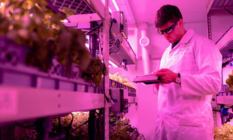 The Future of AgriTech: Trends and Innovations in Agriculture to Watch in 2023