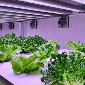 Smart Farming: What Is the Future of Sustainable Agriculture?