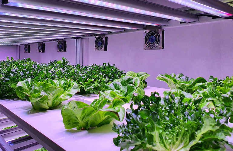 Smart Farming: What Is the Future of Sustainable Agriculture?