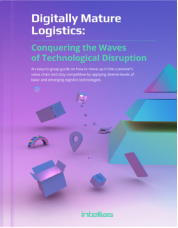 Digitally Mature Logistics