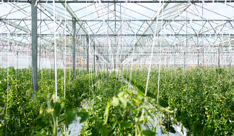 Smart Farming: What Is the Future of Sustainable Agriculture?