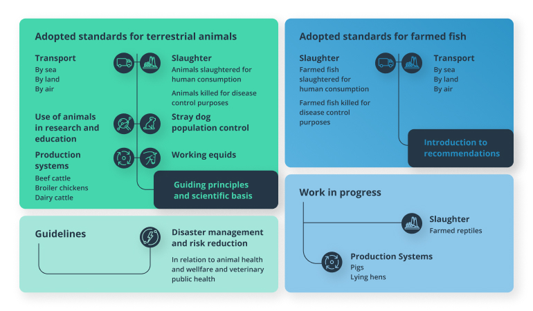 Sustainable Livestock Farming: A Guide to Efficient Management
