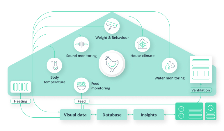 Sustainable Livestock Farming: A Guide to Efficient Management