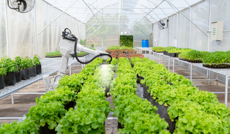 Reaping the Fruits of Vertical Farming Technology to Maximize Yields