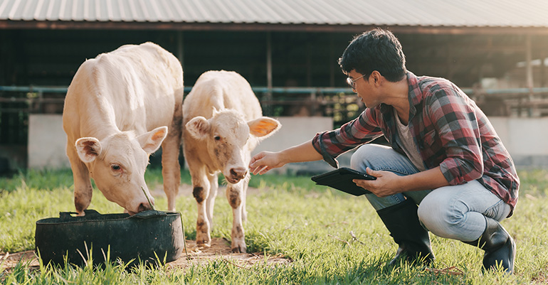 AI in Agriculture — The Future of Farming