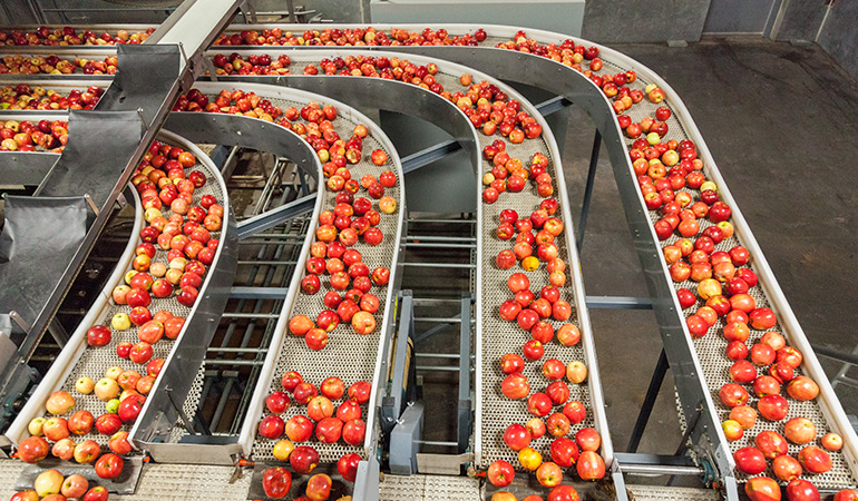 AI in Agriculture — The Future of Farming