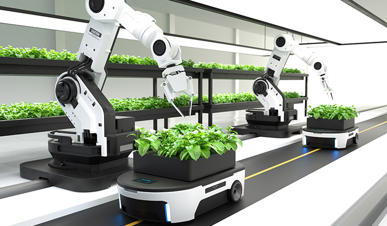 How Technology Can Solve Agriculture Supply Chain Problems