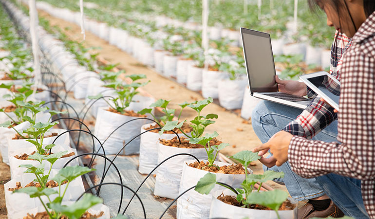 How Technology Can Solve Agriculture Supply Chain Problems