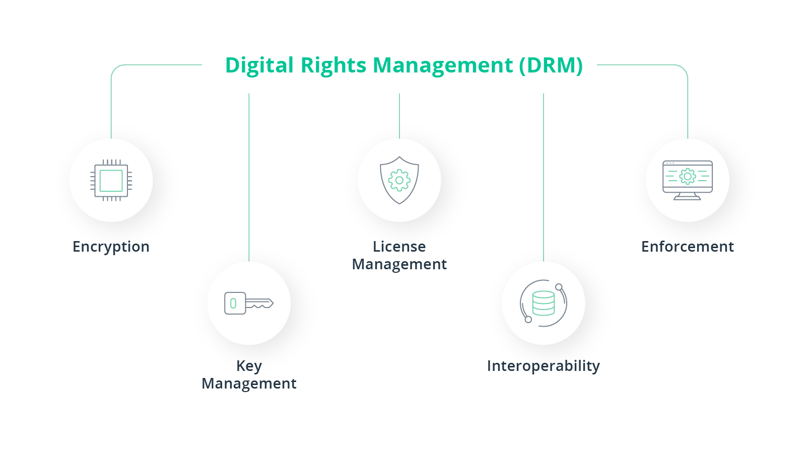 digital rights management