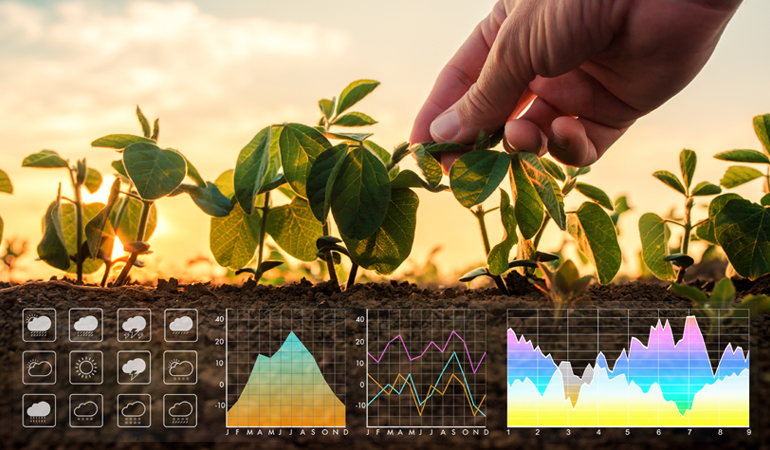 A digital twin weather emulator 