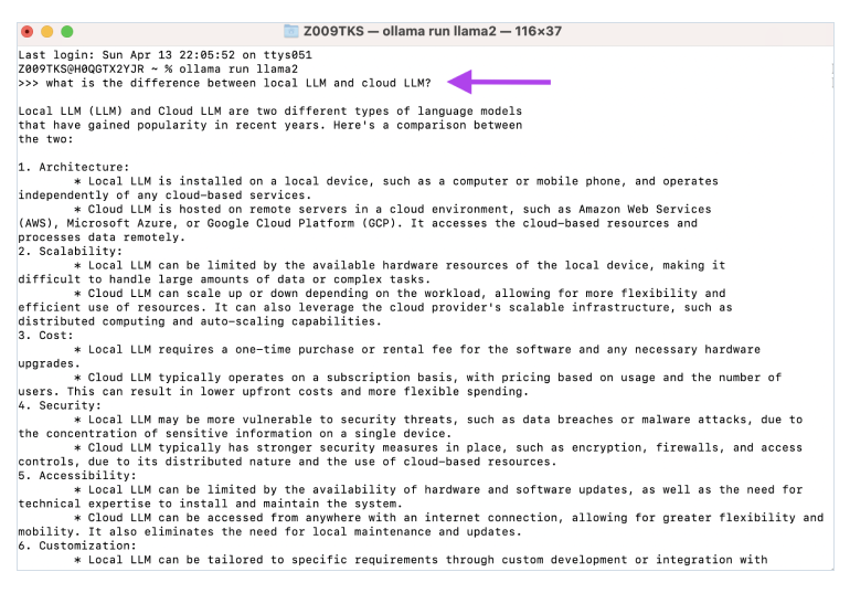 prompt a local LLM in Ollama